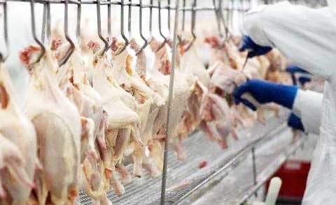 timg-(6).jpg timg-(6).jpg